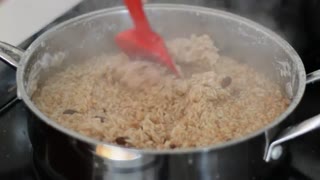 Frame at second 9: spatula stirring rice mixture