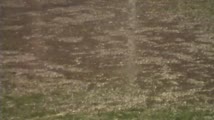 Sports — window d269CK8E0Cs__s30__e40